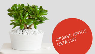 Finanšu pratības nedēļa 2023