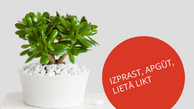 Finanšu pratības nedēļa 2023